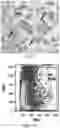Fig. 05 - Tissue constructs including pancreas derived microvessel fragments and related methods