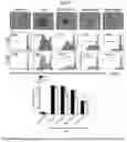 Fig. 20 - Methods of treating systemic graft-versus-host disease with extracellular vesicles