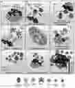 Fig. 01 - Compositions comprising bacterially derived minicells and methods of using the same