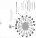 Fig. 02 - Compositions comprising bacterially derived minicells and methods of using the same
