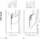 Fig. 07 - Compositions comprising bacterially derived minicells and methods of using the same
