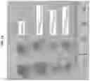 Fig. 16 - Compositions comprising bacterially derived minicells and methods of using the same