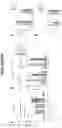 Fig. 34 - Compositions comprising bacterially derived minicells and methods of using the same