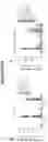Fig. 35 - Compositions comprising bacterially derived minicells and methods of using the same