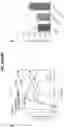 Fig. 41 - Compositions comprising bacterially derived minicells and methods of using the same