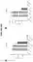 Fig. 59 - Compositions comprising bacterially derived minicells and methods of using the same