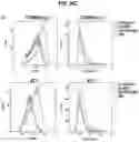 Fig. 60 - Compositions comprising bacterially derived minicells and methods of using the same