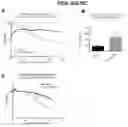 Fig. 65 - Compositions comprising bacterially derived minicells and methods of using the same
