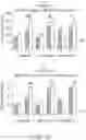 Fig. 17 - Multifiber prebiotic composition for digestive health, weight control, boosting immunity and improving health