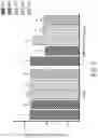 Fig. 03 - Active substances of GKK2, composition comprising the same and method of promoting longevity using the same