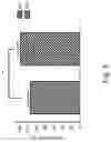 Fig. 09 - Active substances of GKK2, composition comprising the same and method of promoting longevity using the same