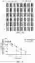 Fig. 03 - Topical composition, pharmaceutical composition containing inactivated culture and method of facilitating wound healing and scar reduction using the same