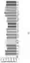 Fig. 02 - ACTIVE SUBSTANCE OF LACTOBACILLUS PLANTARUM GKM3, A COMPOSITION COMPRISING THEREOF AND ITS USE FOR PROMOTING LONGEVITY