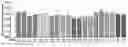 Fig. 01 - Active substance of GKS6, a composition comprising thereof and its use for promoting longevity