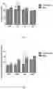 Fig. 06 - Active substance of GKS6, a composition comprising thereof and its use for promoting longevity