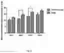 Fig. 07 - Active substance of GKS6, a composition comprising thereof and its use for promoting longevity