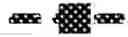 Fig. 03 - Pharmaceutical composition based on bacteriophages against ; use in the treatment of diseases associated with this pathogen