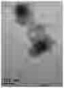 Fig. 01 - bacteriophage Ent-FAP-4 and use for inhibiting proliferation of same