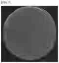 Fig. 03 - bacteriophage Ent-FAP-4 and use for inhibiting proliferation of same