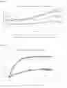 Fig. 24 - COMPOSITIONS AND METHODS TO INHIBIT KIDNEY STONE GROWTH
