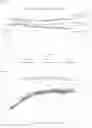 Fig. 59 - COMPOSITIONS AND METHODS TO INHIBIT KIDNEY STONE GROWTH