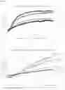Fig. 76 - COMPOSITIONS AND METHODS TO INHIBIT KIDNEY STONE GROWTH