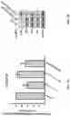 Fig. 04 - PHARMACEUTICAL COMPOSITION FOR PROMOTING NEUROGENESIS AND METHOD OF UTILIZING GASTRODIA ELATA EXTRACT OR ADENOSINE ANALOG FOR PROMOTING NEUROGENESIS