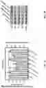 Fig. 05 - PHARMACEUTICAL COMPOSITION FOR PROMOTING NEUROGENESIS AND METHOD OF UTILIZING GASTRODIA ELATA EXTRACT OR ADENOSINE ANALOG FOR PROMOTING NEUROGENESIS