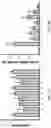 Fig. 06 - PHARMACEUTICAL COMPOSITION FOR PROMOTING NEUROGENESIS AND METHOD OF UTILIZING GASTRODIA ELATA EXTRACT OR ADENOSINE ANALOG FOR PROMOTING NEUROGENESIS