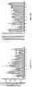 Fig. 08 - PHARMACEUTICAL COMPOSITION FOR PROMOTING NEUROGENESIS AND METHOD OF UTILIZING GASTRODIA ELATA EXTRACT OR ADENOSINE ANALOG FOR PROMOTING NEUROGENESIS