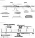 Fig. 02 - Pharmaceutical composition for preventing and treating transplant rejection