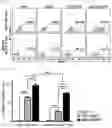 Fig. 04 - Pharmaceutical composition for preventing and treating transplant rejection