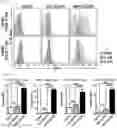 Fig. 06 - Pharmaceutical composition for preventing and treating transplant rejection