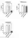 Fig. 08 - Pharmaceutical composition for preventing and treating transplant rejection
