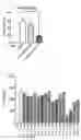 Fig. 09 - Pharmaceutical composition for preventing and treating transplant rejection