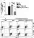 Fig. 14 - Pharmaceutical composition for preventing and treating transplant rejection