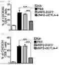 Fig. 15 - Pharmaceutical composition for preventing and treating transplant rejection