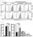 Fig. 16 - Pharmaceutical composition for preventing and treating transplant rejection