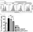 Fig. 18 - Pharmaceutical composition for preventing and treating transplant rejection