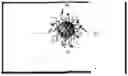 Fig. 01 - EGFR/MFN2 Targeted Nanoparticles Particularly Useful For Treating Multidrug Resistant Triple Negative Breast Cancer Through Mitochondrial Fusion Inhibition