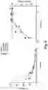 Fig. 07 - E-WE THROMBIN ANALOG AND FIBRINOLYTIC COMBINATION