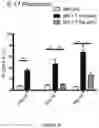Fig. 07 - MATERIALS AND METHODS FOR TREATING OR PREVENTING GRAFT-VERSUS-HOST-DISEASE