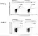Fig. 28 - Peptides and combination of peptides for use in immunotherapy against CLL and other cancers