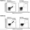 Fig. 29 - Peptides and combination of peptides for use in immunotherapy against CLL and other cancers