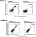 Fig. 30 - Peptides and combination of peptides for use in immunotherapy against CLL and other cancers
