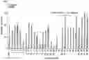 Fig. 01 - Enhancing immunogenicity of polysaccharide-protein conjugates