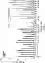 Fig. 02 - Enhancing immunogenicity of polysaccharide-protein conjugates