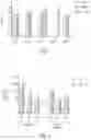 Fig. 02 - HERPES SIMPLEX VIRUS VACCINE