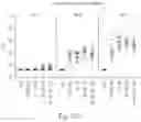 Fig. 10 - HERPES SIMPLEX VIRUS VACCINE