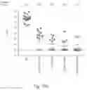 Fig. 13 - HERPES SIMPLEX VIRUS VACCINE